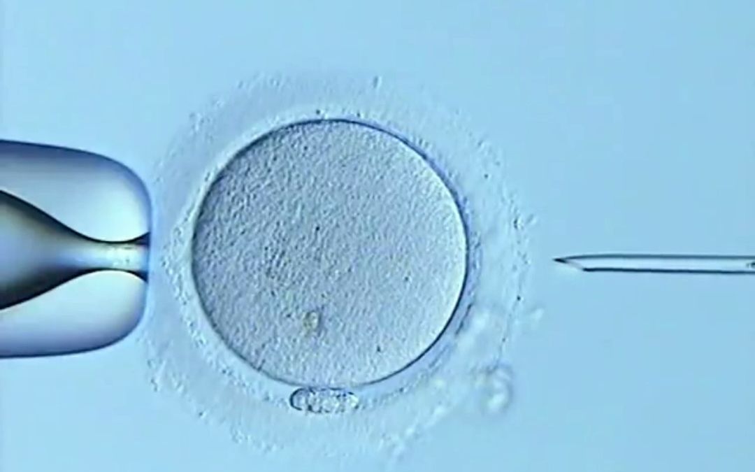 Piezo-ICSI Pipette